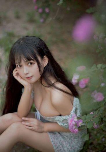 电视剧我的前半生第二部_BD英语电影在线看