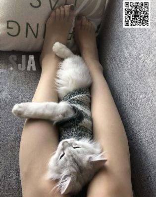 善良的少妇伦理bd中字_蓝光韩国电影在线观看