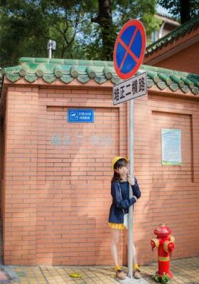 真心英雄电影完整版在线观看免费_国产剧完整视频观看