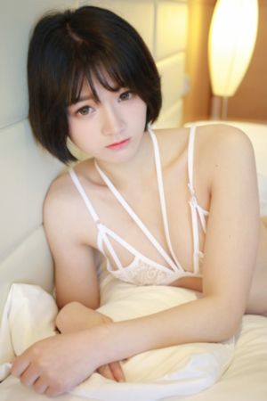 芭比之时尚奇迹_DVD在线观看视频