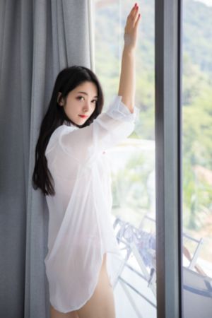 《第三种爱情》免费观看_DVD免费观看韩国
